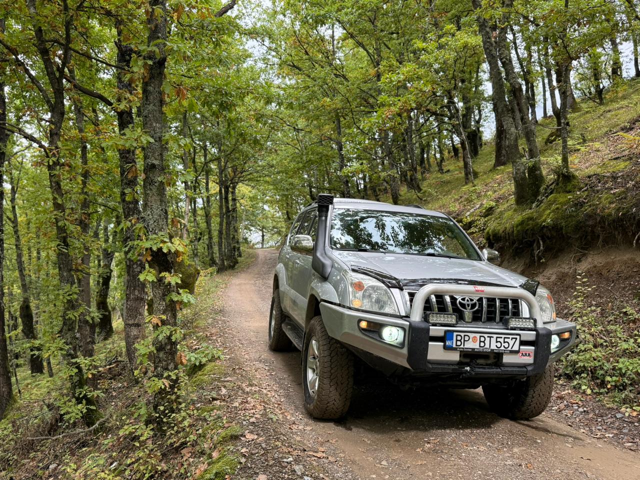 WhatsApp Image 2025-11-29 at 15.56.29_ad72e44c